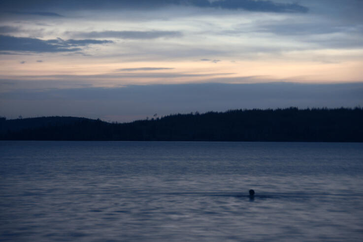 Sunset Swim